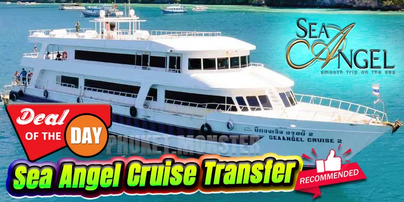 Sea Angel Cruise Transfer